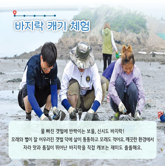 추천! 6월의 어촌 여행지, 전북 군산 신시도마을