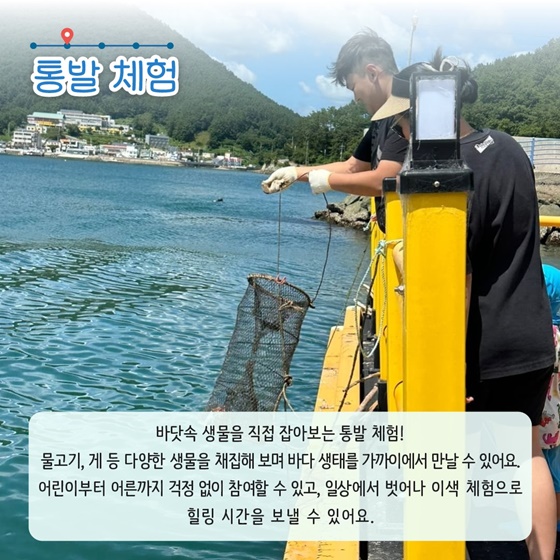 추천! 6월의 어촌 여행지, 경남 통영 봉암몽돌마을