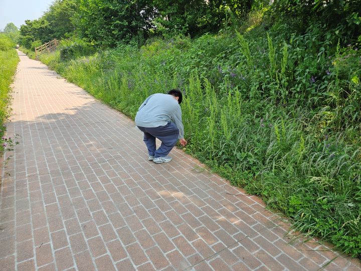 환경을 위한 하루의 본격적인 시작은 근처 하천을 산책하며 플로깅하는 것이었다. 자원봉사센터에서는 월 4회까지 자발적인 환경정화 활동에 대한 활동을 비대면 봉사시간으로 인정해 주고 있었다.