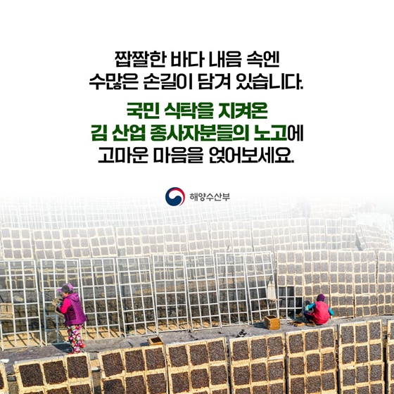 김, 한국의 바다에서 세계의 식탁으로