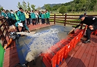 지난달 26일 광주 남구 빛고을농촌테마공원에서 열린 풍수해 대응 합동훈련에서 양수기 가동, 이동식 차수판 및 흡착마대 설치 등 재난관리자원 가동 훈련이 펼쳐지고 있다.(사진=저작권자(c) 연합뉴스, 무단 전재-재배포 금지)