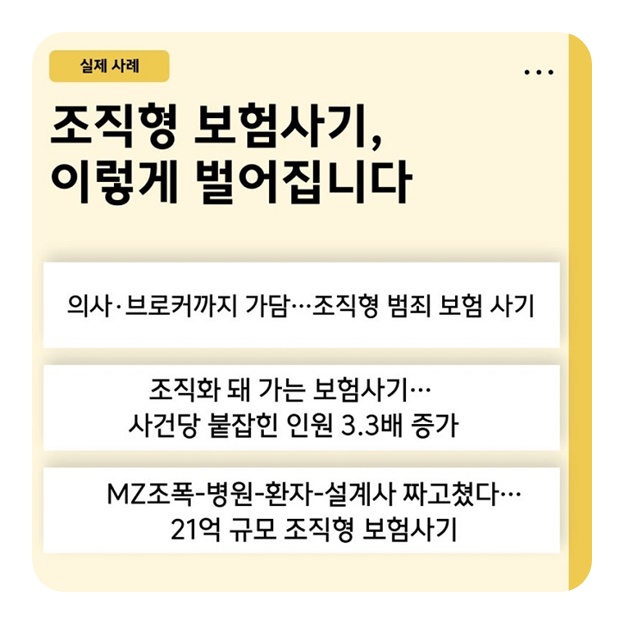 민생 침해 보험사기 특별단속 실시