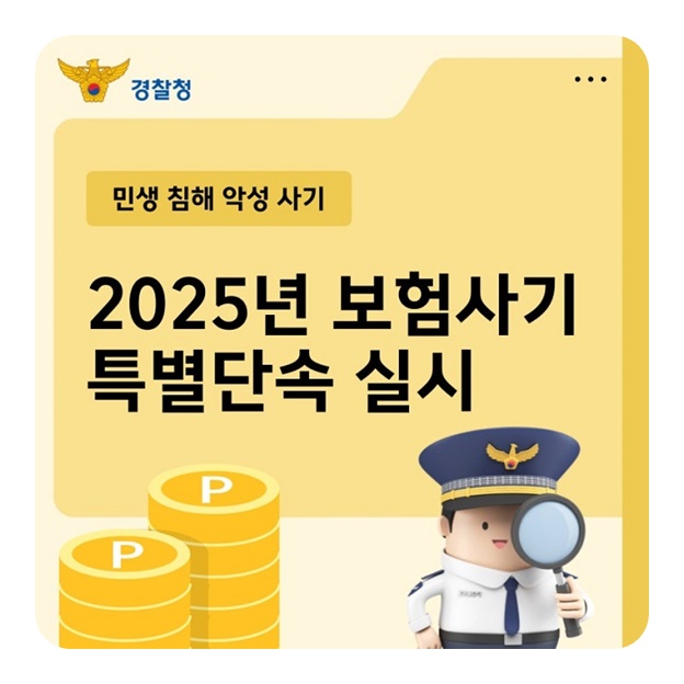 민생 침해 보험사기 특별단속 실시