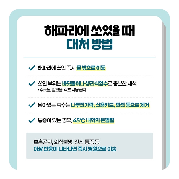 해변가에 나타난 풍선? 만지면 큰일나요!
