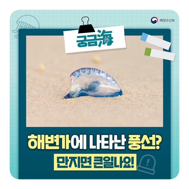 해변가에 나타난 풍선? 만지면 큰일나요!