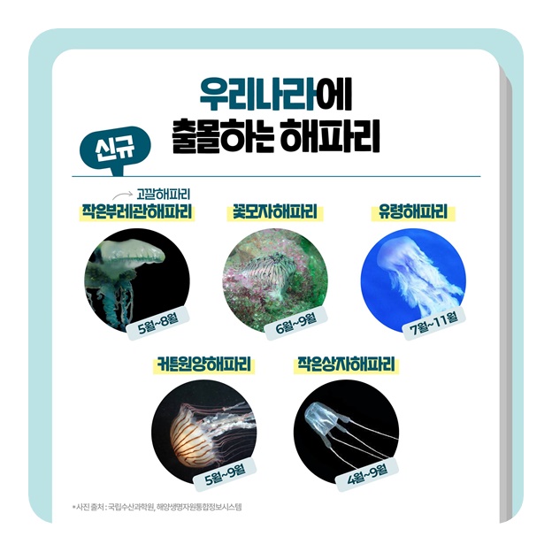해변가에 나타난 풍선? 만지면 큰일나요!