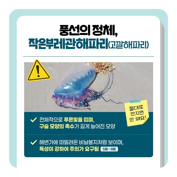 해변가에 나타난 풍선? 만지면 큰일나요!