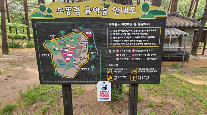 유아숲 프로그램