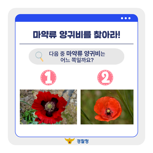 예뻐서 키웠는데, 마약이었다?!