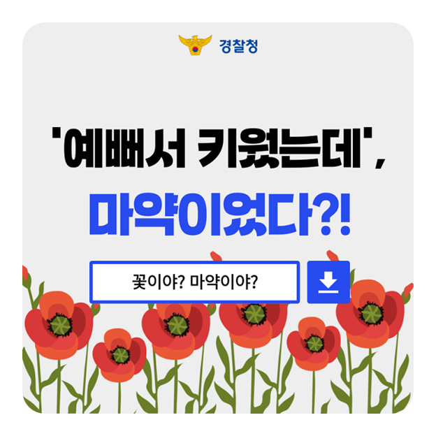 예뻐서 키웠는데, 마약이었다?!
