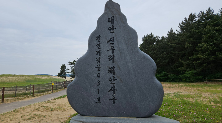 천연기념물 431호 표지석