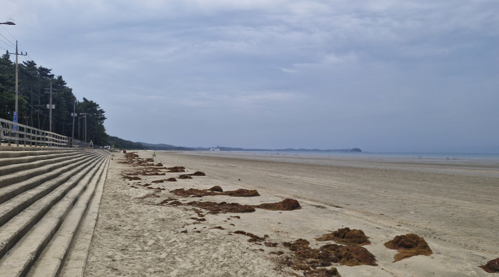 물나간 백사장 모습, 멀리 청포대해수욕장, 다음은 달산포해수욕장 이어서 몽산포해수욕장