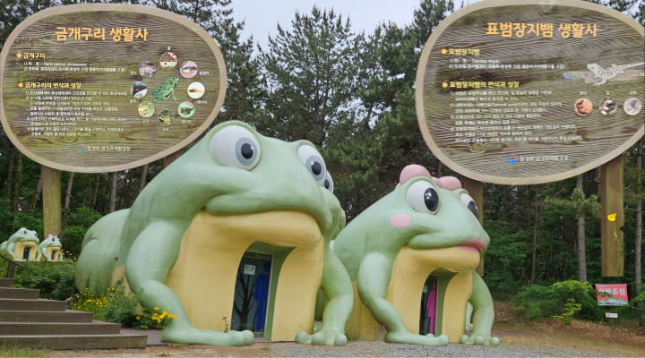 금개구리 모형물로 제작된 화장실