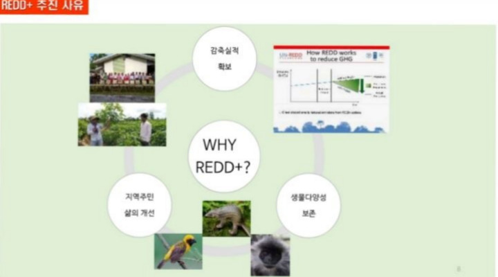 REDD는 왜 필요한가? 온실가스감축, 생물의 다양성, 지역사회 안정