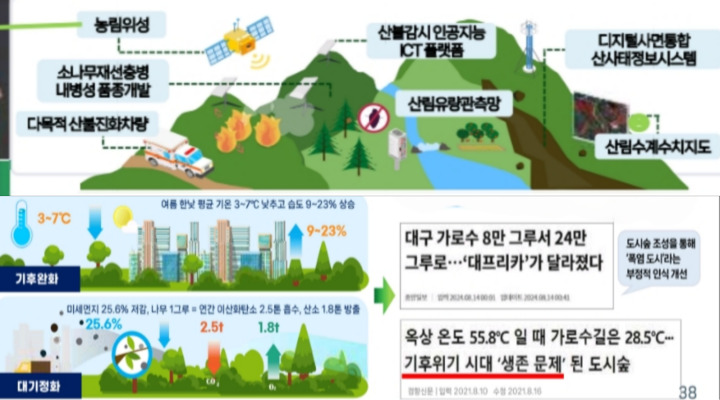 대프리카가 도시 숲의 효과를 보고 있다. 농업위성을 이용한 산불 감시, 재해예방