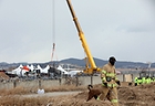 전남 무안국제공항 참사 현장에서 항공·철도사고 조사위원회 관계자들이 기체 잔해를 수습하는 가운데 소방관이 수색견과 인근을 둘러보고 있다. 2025.1.15 (ⓒ뉴스1, 무단 전재-재배포 금지)