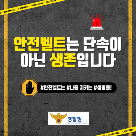 안전벨트는 단속이 아닌 생존입니다