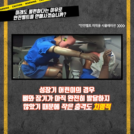 안전벨트는 단속이 아닌 생존입니다