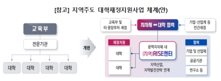RISE 사업의 체계 (출처=교육부 공식 블로그)