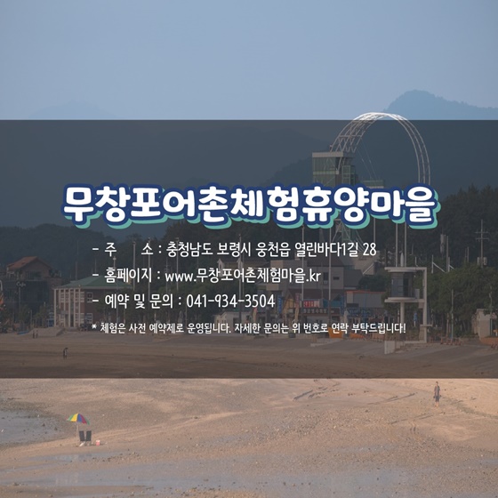 추천! 7월의 어촌 여행지, 충남 보령 무창포마을