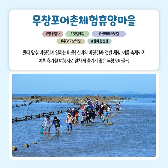 추천! 7월의 어촌 여행지, 충남 보령 무창포마을