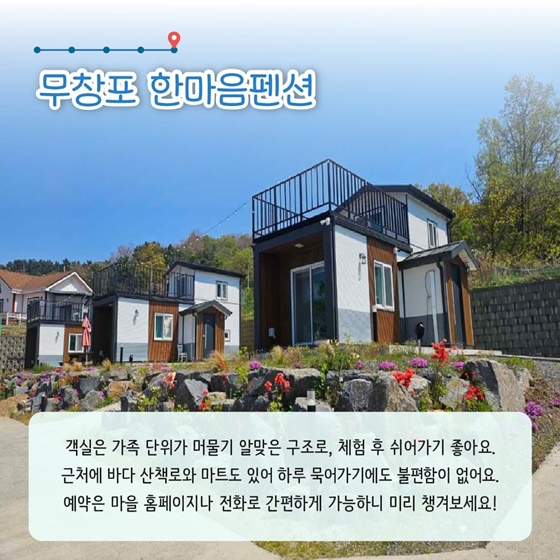 추천! 7월의 어촌 여행지, 충남 보령 무창포마을