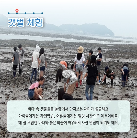 추천! 7월의 어촌 여행지, 경기 화성 전곡리마을