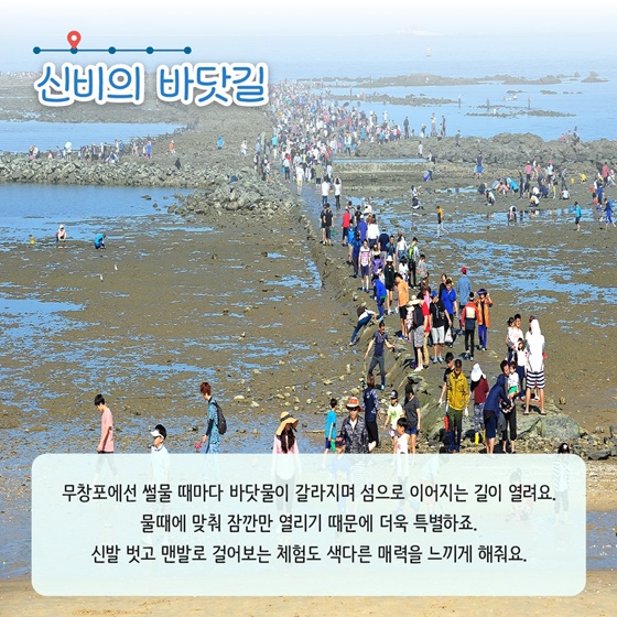 추천! 7월의 어촌 여행지, 충남 보령 무창포마을