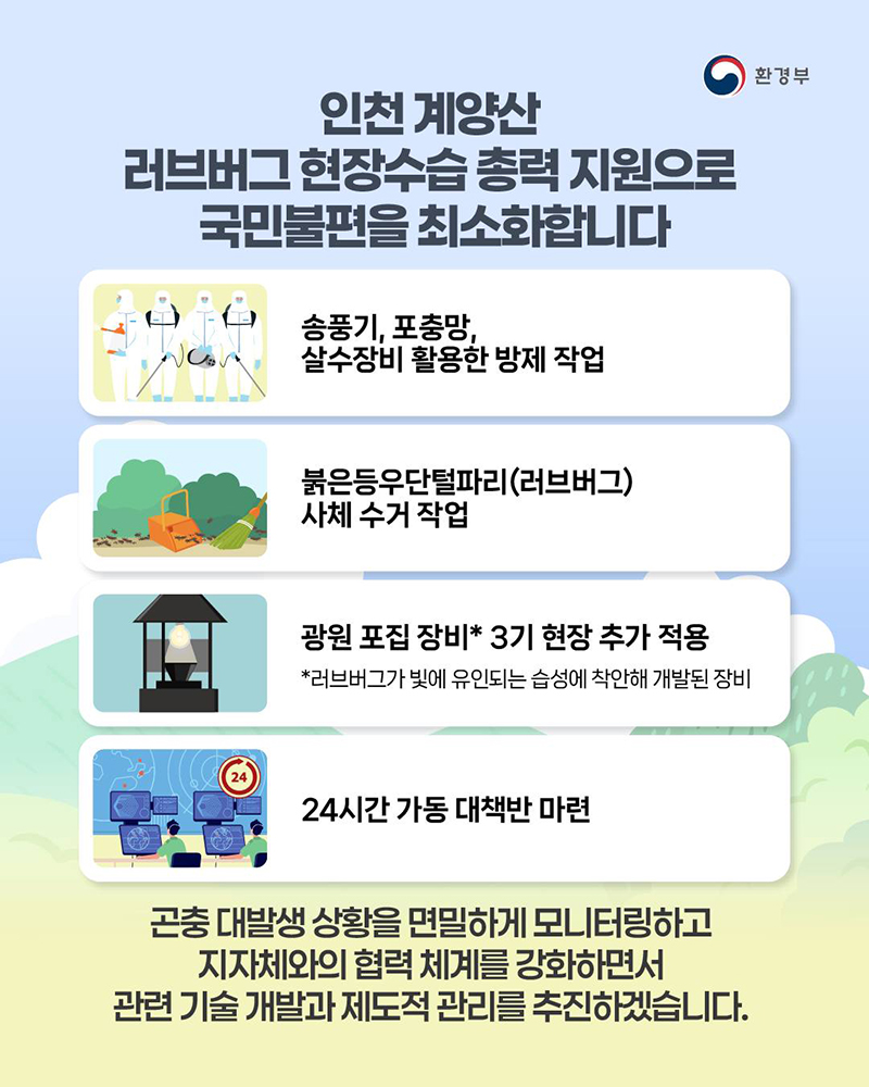 인천 계양산 러브버그 현장수습 총력 지원 국민불편 최소화 하단내용 참조