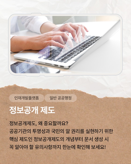 이번 주, 신규 공무원을 위한 놓치면 안 될 콘텐츠