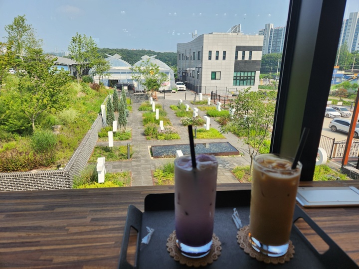 커피를 마시며 실내에서 내려다본 정원.