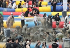 지난해 충남 보령 머드엑스포광장에서 열린 제27회 보령머드축제에서 관광객들이 즐거운 시간을 보내고 있다. 2024.7.20 (ⓒ뉴스1, 무단 전재-재배포 금지)