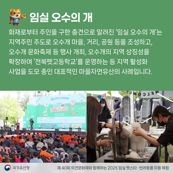 우리 마을의 숨겨져 있는 소중한 자연유산을 추천해주세요