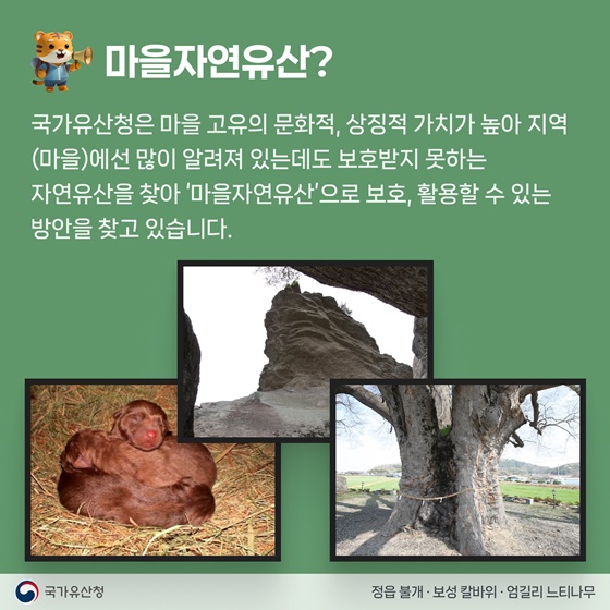 우리 마을의 숨겨져 있는 소중한 자연유산을 추천해주세요