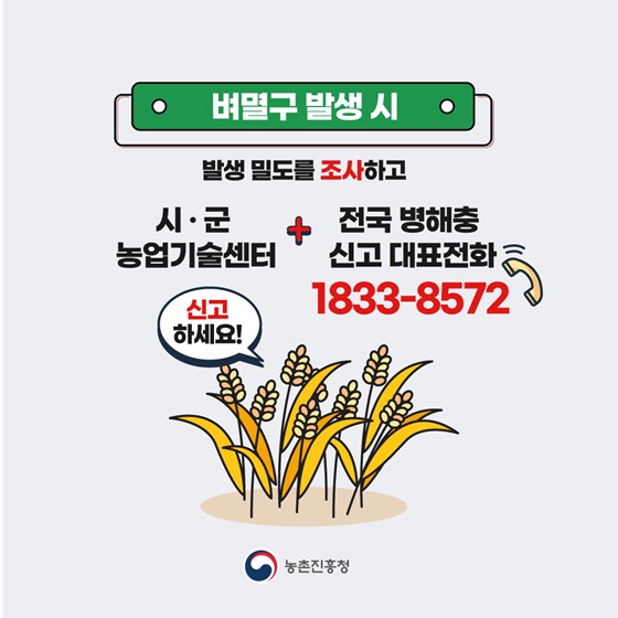 벼멸구 예방을 위한 농업인 준수사항