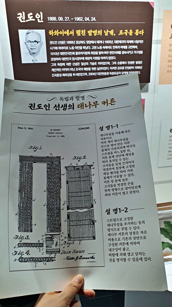 햇빛을 막던 커튼이 조국을 위한 길이 되다.