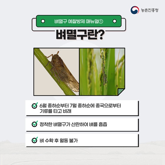 벼멸구 예방을 위한 농업인 준수사항