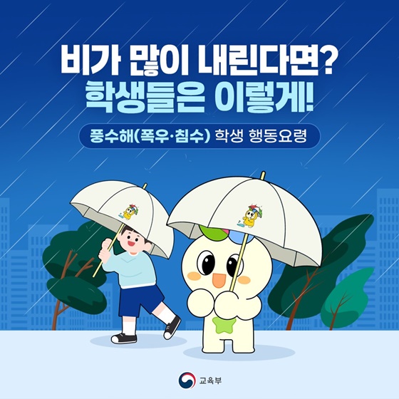 비가 많이 내린다면? 학생들은 이렇게!