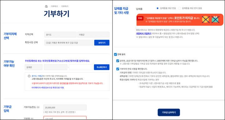 지정기부를 통해서 기부를 진행하는 화면의 모습. (출처 = 고향사랑e음)