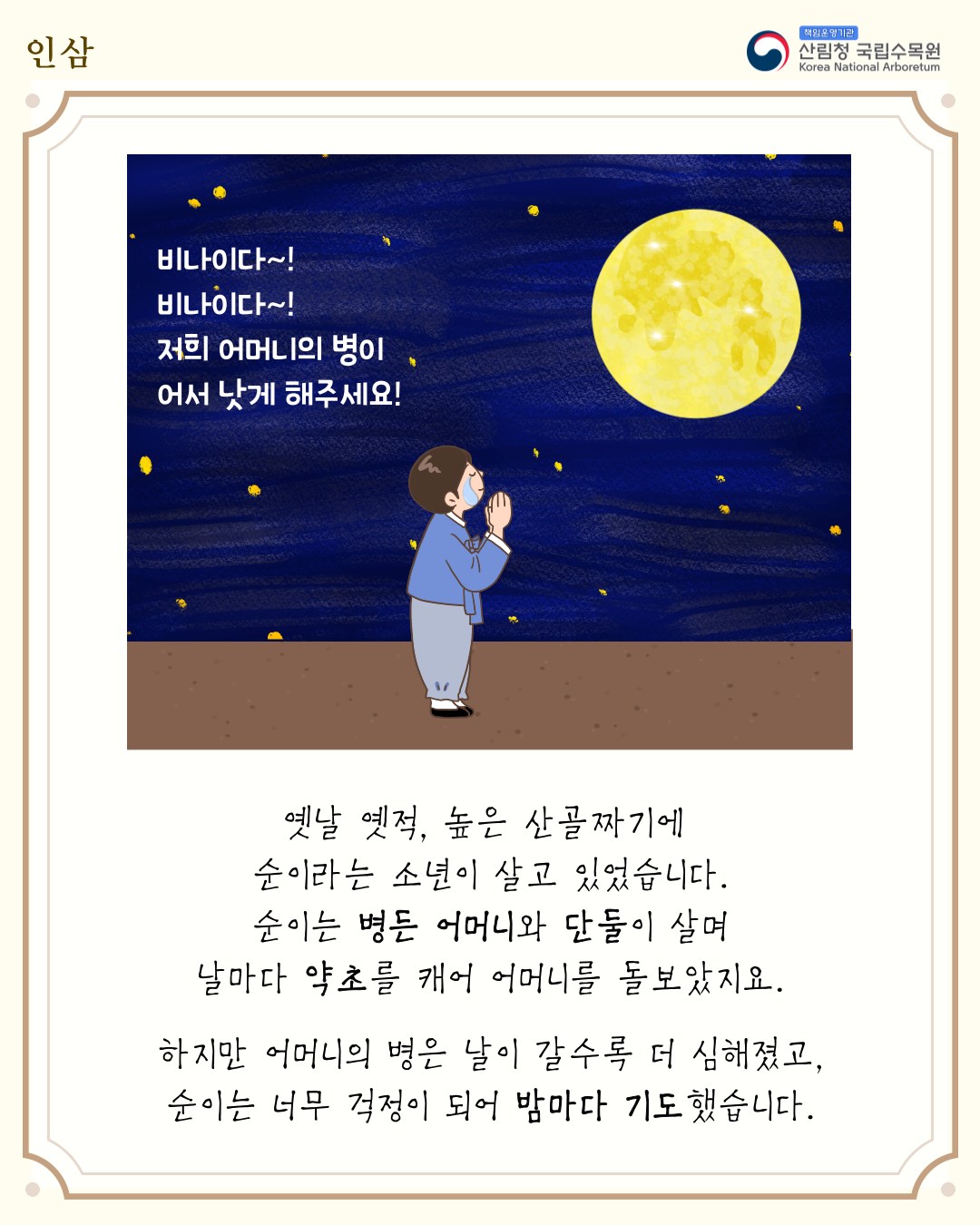 이야기로 풀어보는 식물이야기「인삼」