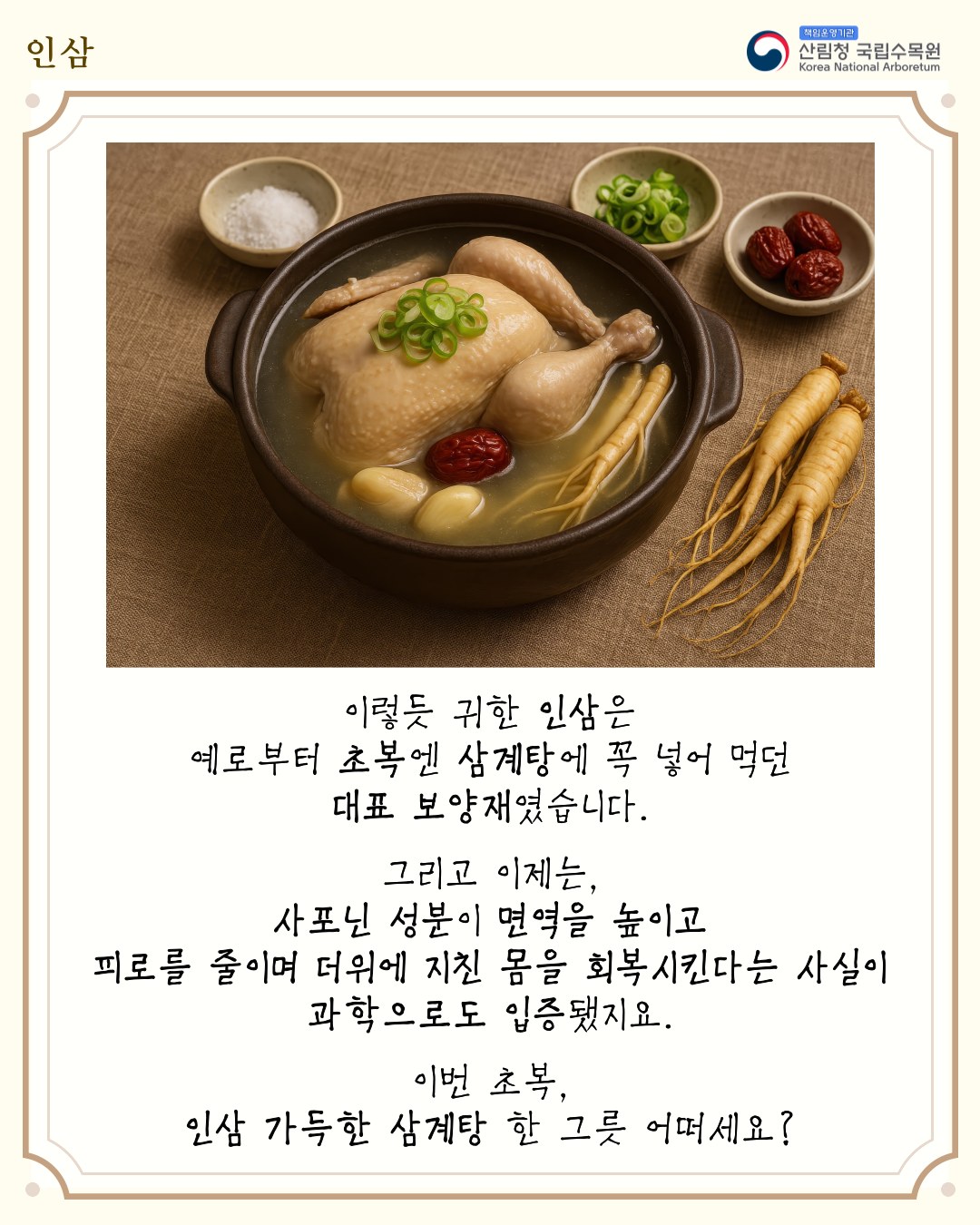 이야기로 풀어보는 식물이야기「인삼」