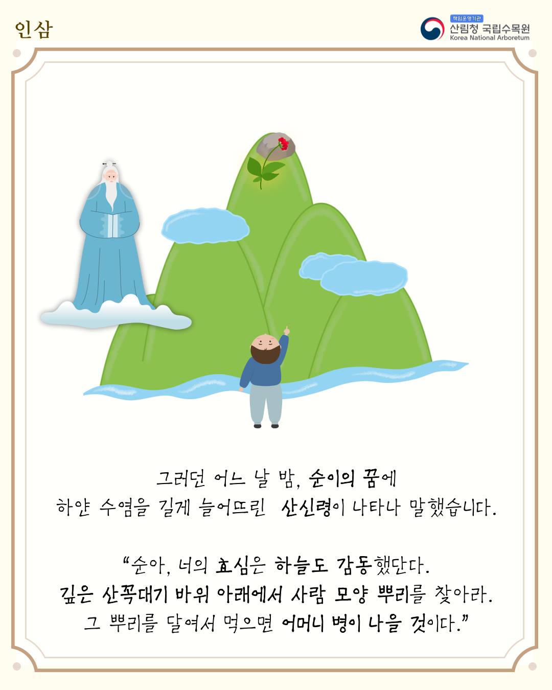 이야기로 풀어보는 식물이야기「인삼」