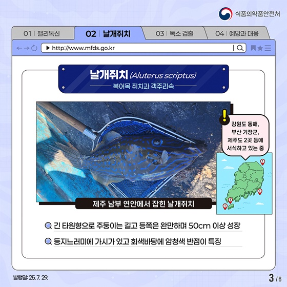 기후변화가 부른 낯선 위험: 날개쥐치와 맹독 팰리톡신