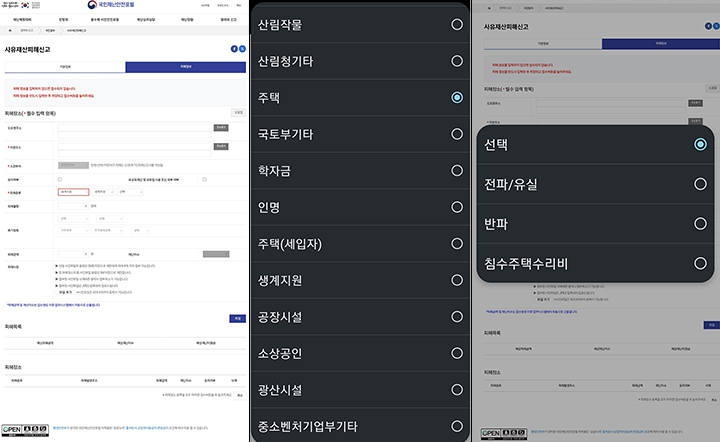 피해 정보 입력. / 피해 종류 입력. / 세부 피해 종류 입력.