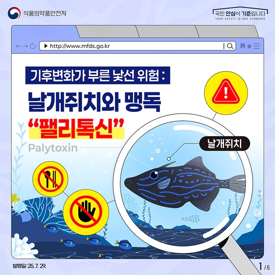기후변화가 부른 낯선 위험: 날개쥐치와 맹독 팰리톡신