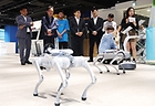 정태호 국정기획위원회 경제1분과장과 위원들이 지난 6월 25일 경기도 성남시 수정구 피지컬 AI 로봇 스타트업 마음AI를 방문해 관계자로부터 다양한 피지컬 로봇 설명을 듣고 있다.(사진=저작권자(c) 연합뉴스, 무단 전재-재배포 금지)