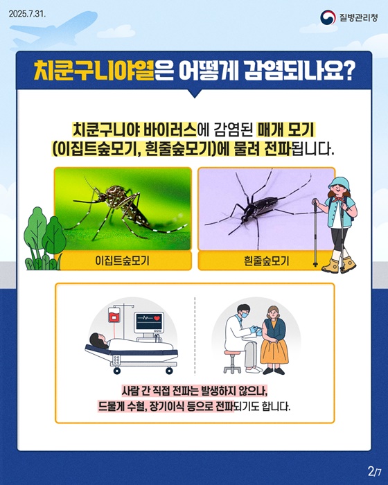 모기매개 감염병, 치쿤구니야열