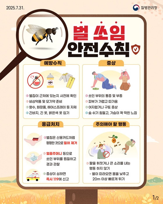 8~9월 벌 쏘임·뱀 물림 주의!