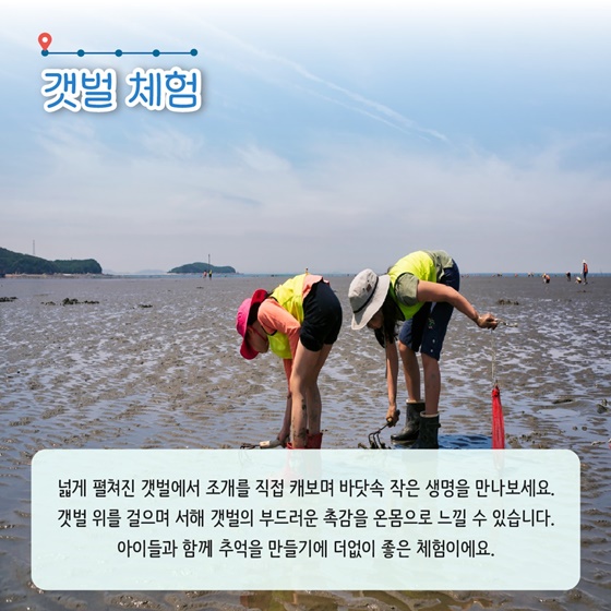 추천! 8월의 어촌 여행지, 경기 안산 흘곶마을