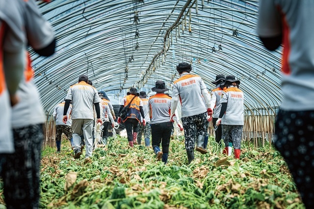 충남 예산군의 한 멜론 농가의 비닐하우스 안으로 의용소방대원들이 수해 복구 작업을 하러 들어가고 있다. 사진 C영상미디어